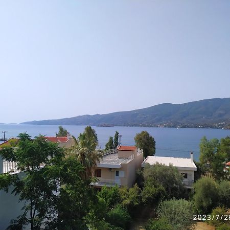 Villa Rigos House At Askeli Beach, Poros Island à Poros Town Extérieur photo