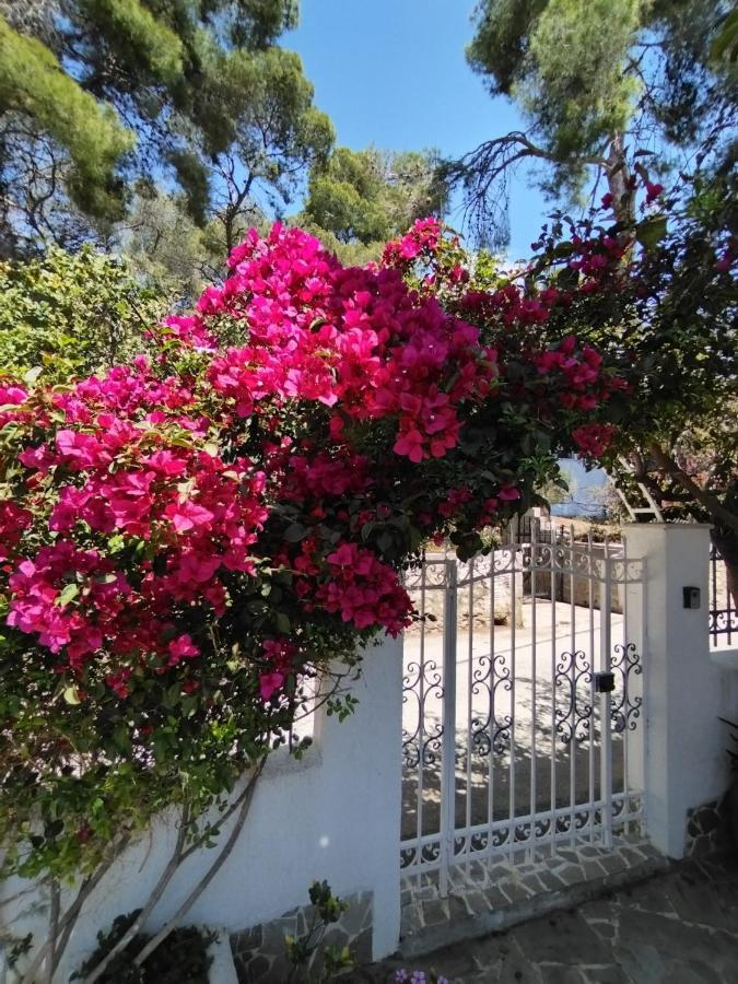 Villa Rigos House At Askeli Beach, Poros Island à Poros Town Extérieur photo